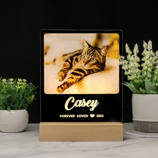 Custom Pet Memorial Plaque