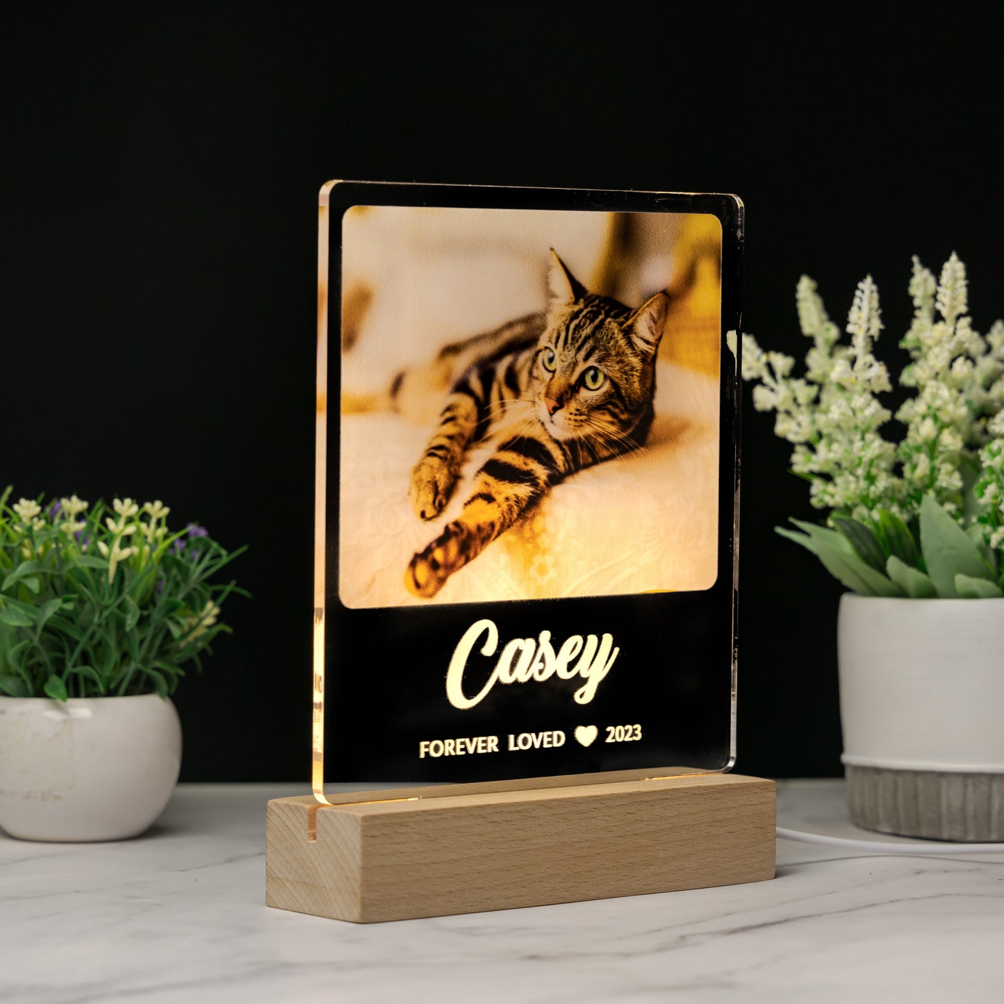 Custom Pet Memorial Plaque