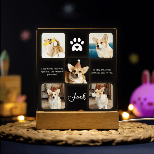 Personalized Memorial Pet Plaque Acrylic Night Light with Paw