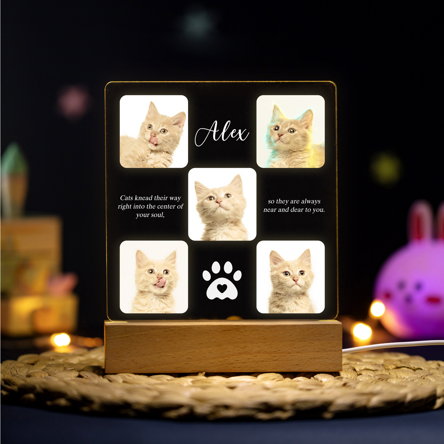 Personalized Memorial Pet Plaque Acrylic Night Light with Paw