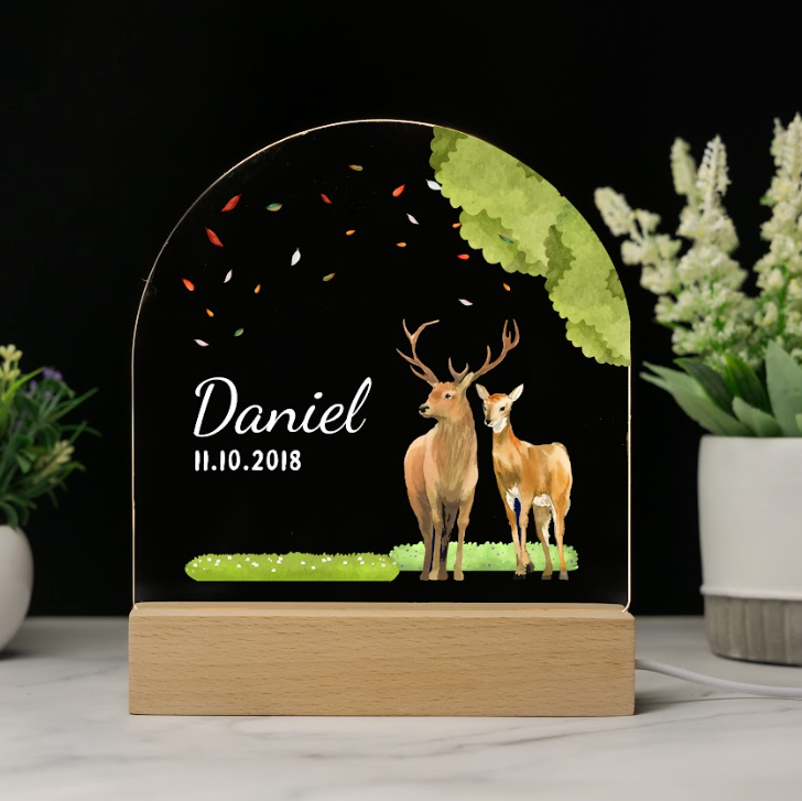 Custom Baby’s Name Night Light