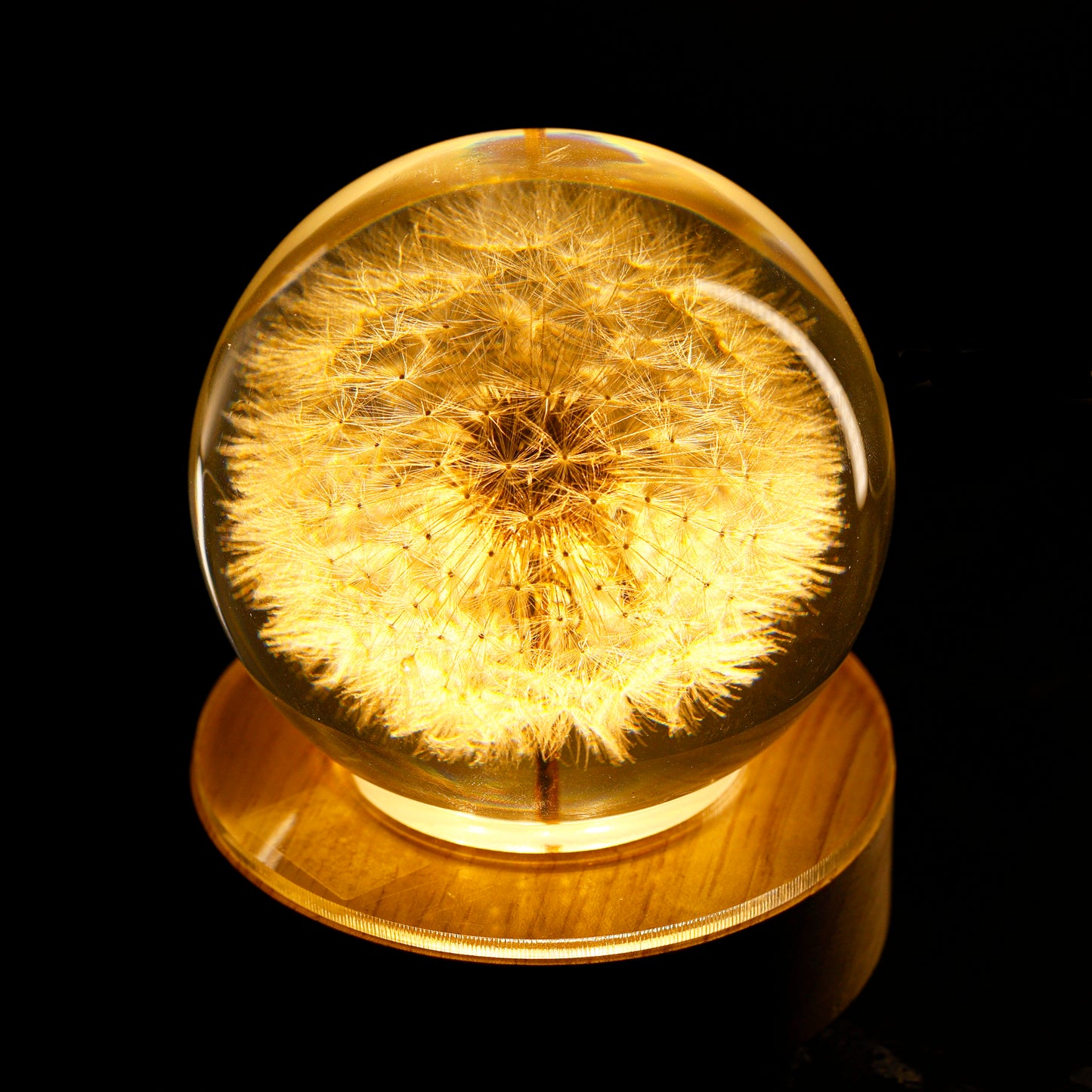 Dandelion Flower Resin Lamp