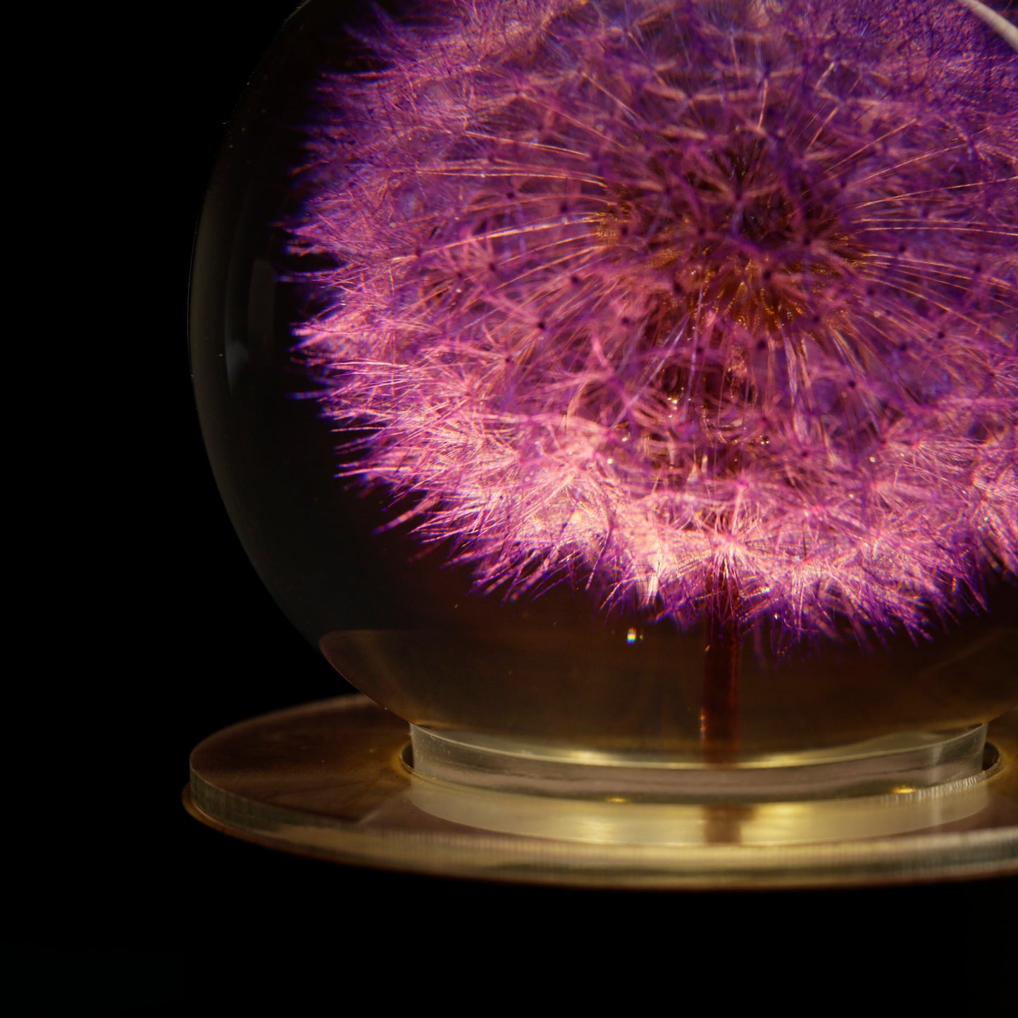 Dandelion Flower Resin Lamp