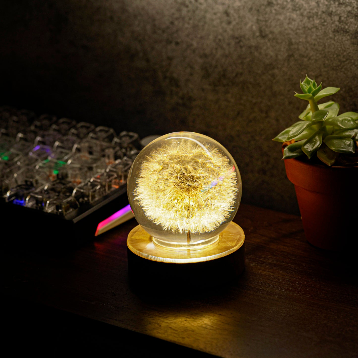 Dandelion Flower Resin Lamp