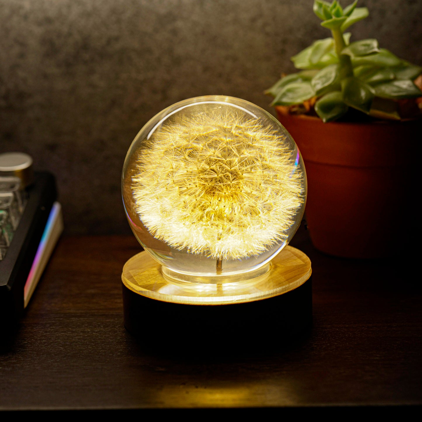 Dandelion Flower Resin Lamp